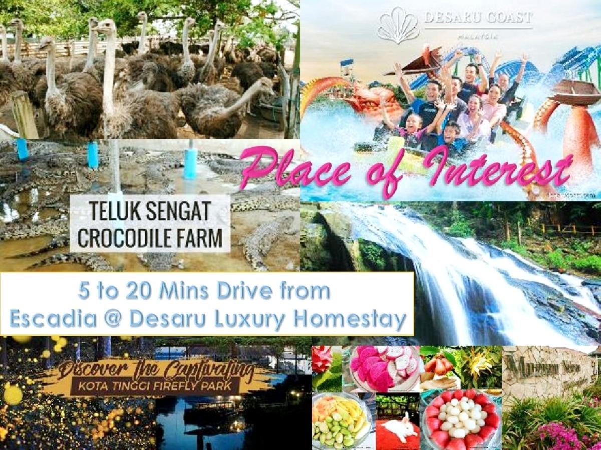 Desaru Cosy Homestay - Near Waterpark, Beach, Rapid -Wifi, Tvbox, Steamboat, Bbq Available エクステリア 写真